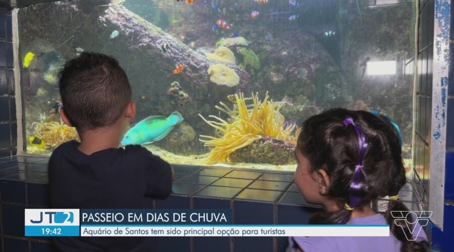 Aquário de Santos, SP, será fechado para reforma; entenda