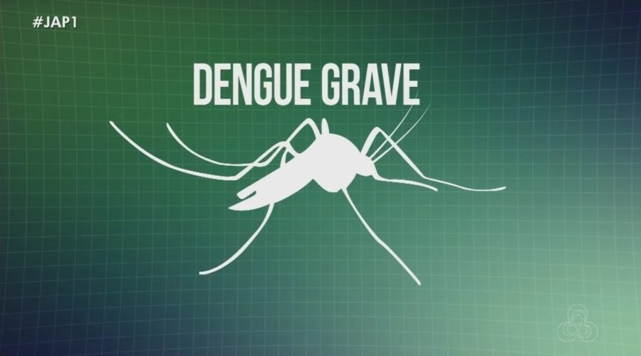 Baixada Santista, SP, registra 7 mortes por dengue em 2025