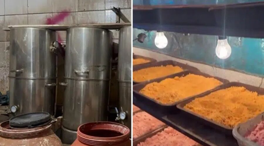 Polícia prende 'químico' suspeito de manter laboratório industrial de drogas sintéticas no litoral de SP; VÍDEO