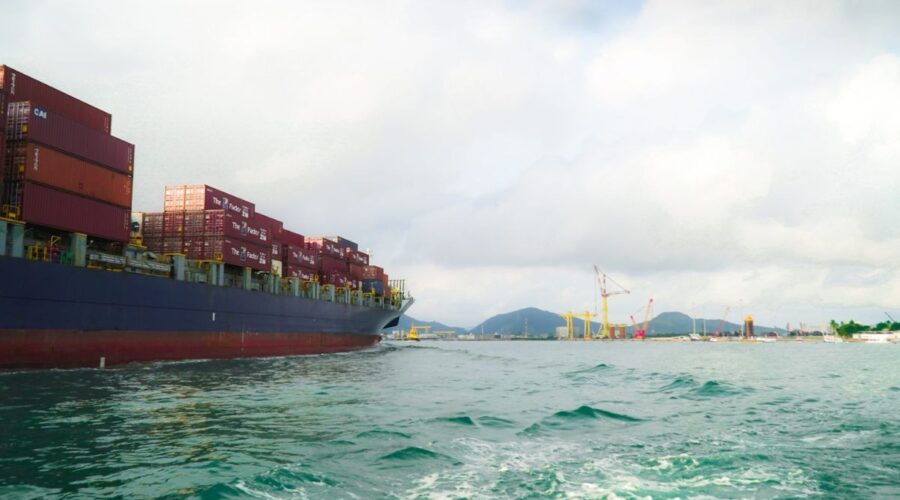 Porto de Santos, SP, promove ações de preservação do mar e da vida aquática; entenda