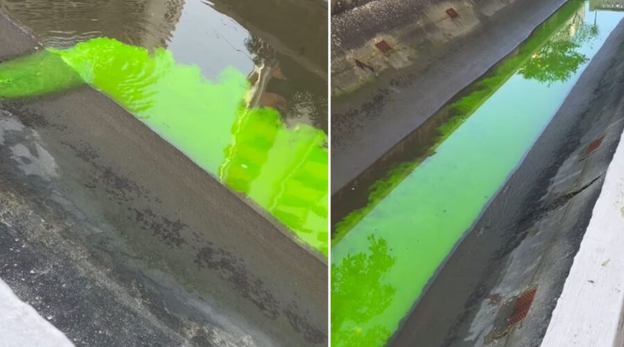 Líquido verde fluorescente invade canal em Santos, SP, e gera multa para condomínio; VÍDEO