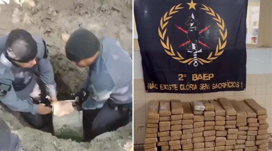 Polícia Militar encontra mais de 100 kg de drogas enterradas em área de mata em São Vicente, SP