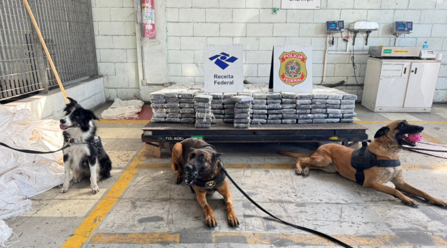 Receita Federal apreende 657 kg de cocaína em carga de café no Porto de Santos, SP; VÍDEO