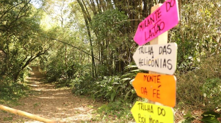Parque dos Morros, o maior de Santos, é criado para preservação e regeneração ambiental