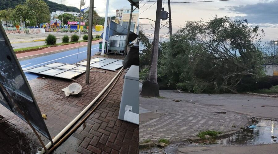 Forte ventania paralisa travessias de balsas, causa quedas de árvores e estragos na Baixada Santista, SP