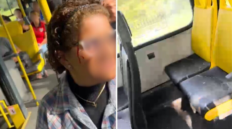 Mulher é atingida por azulejo durante ataque a ônibus no litoral de SP; VÍDEO
