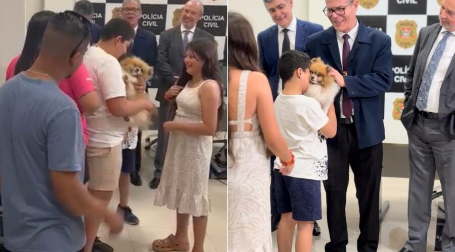 Cachorro Spitz Alemão reencontra família após ser furtado no litoral de SP e localizado em SC; VÍDEO
