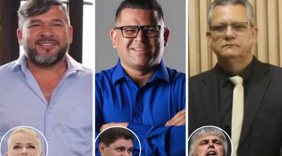 Xuxa, Batoré e Carioca: conheça vereadores que têm apelidos de famosos em SP