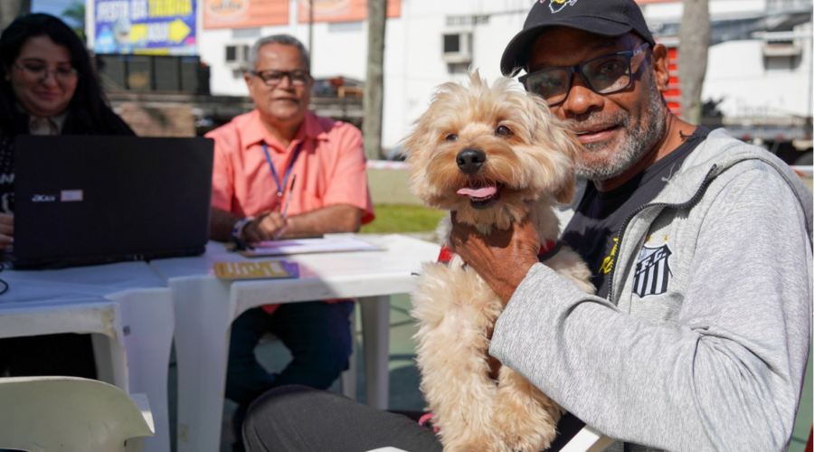 Praia Grande oferece microchipagem gratuita para cães e gatos; veja como participar