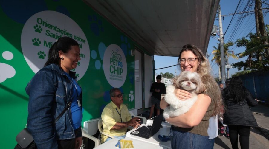 Praia Grande oferece microchipagem gratuita para pets em feiras livres; veja como participar