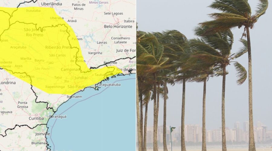 Ciclone extratropical traz forte ventania e causa queda de árvores no litoral de SP; veja a previsão