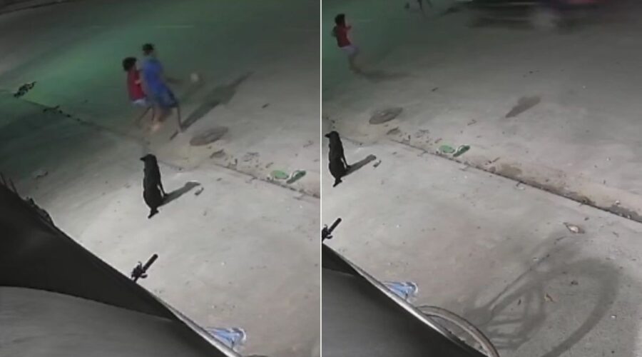 Menino de 10 anos morre após ser atropelado enquanto corria atrás de bola na rua; motorista é liberado