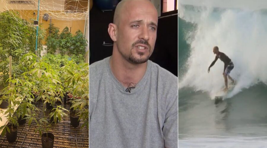 Ex-surfista profissional é absolvido após ser preso com pés de maconha; MP recorreu da decisão