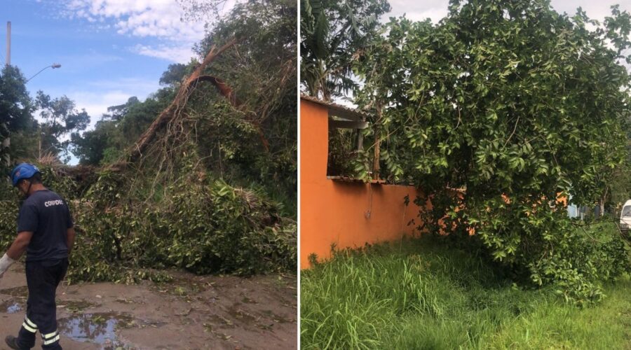 Ciclone extratropical provoca ventos de 99km/h e causa estragos no litoral de SP; VEJA