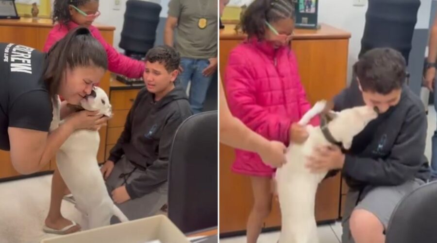 Crianças se emocionam ao encontrar cachorro desaparecido em Santos; VÍDEO