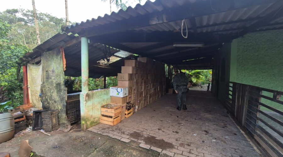 Operação Juçara apreende 1,6 mil potes de vidro para palmito ilegal em SP