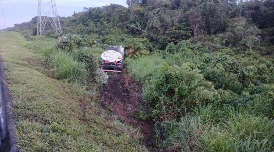 Besouro invade cabine de caminhão, assusta motorista e veículo despenca em barranco