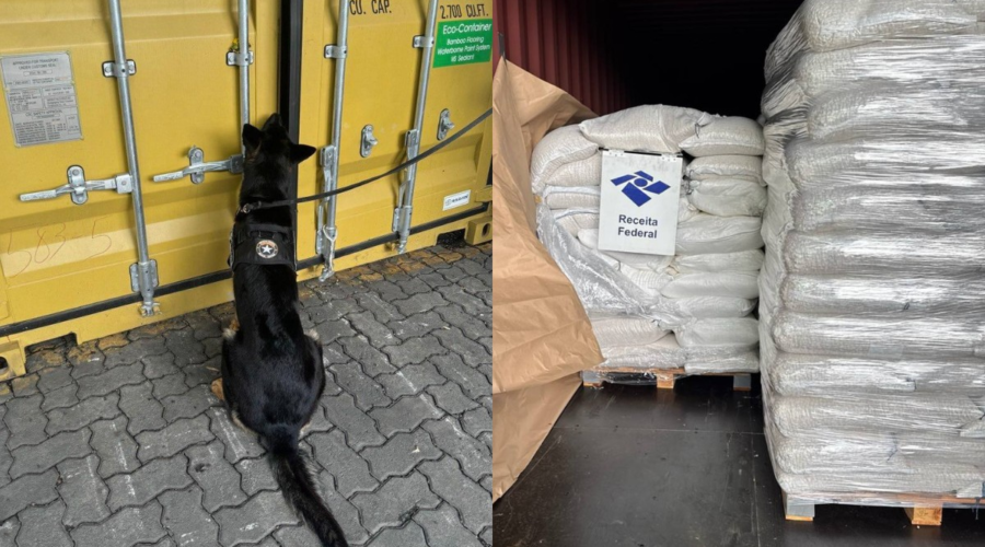 Em 24h, cerca de 600 kg de cocaína são apreendidos em cargas de banana e amendoim no Porto de Santos, SP