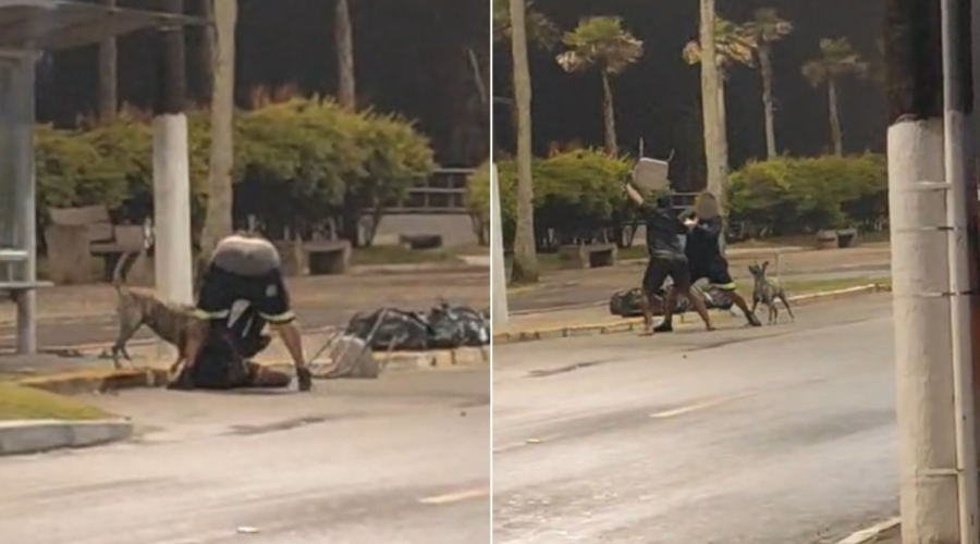 Servidor público é agredido por desconhecido mordido por cães no litoral de SP; VÍDEO