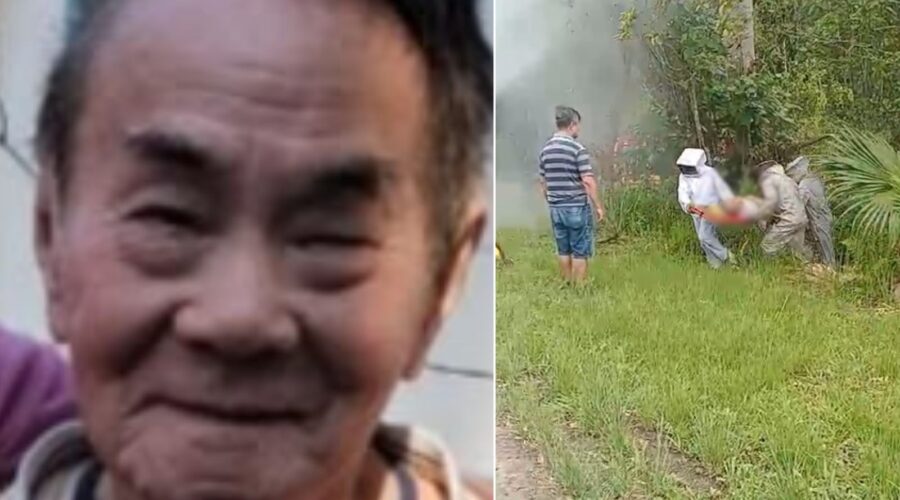 Idoso morre após ser atacado por enxame de abelhas no interior de SP