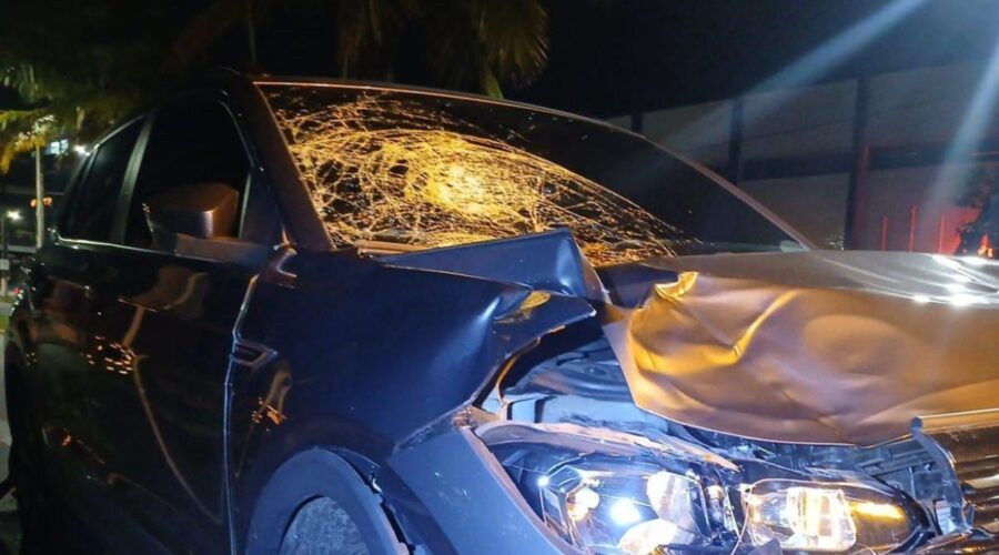 Criança de 5 anos e homem morrem atropelados em rodovia no litoral de SP