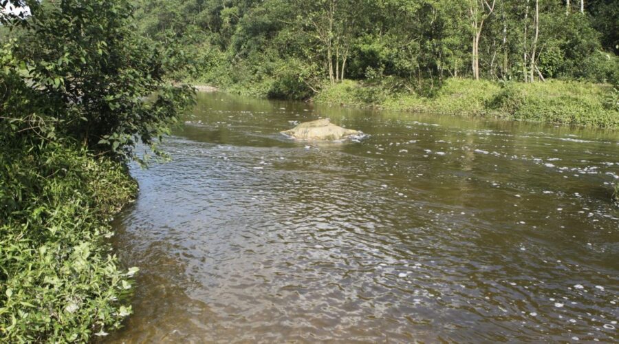 Três corpos são localizados após possível cabeça d’água no Rio Perequê; buscas são encerradas