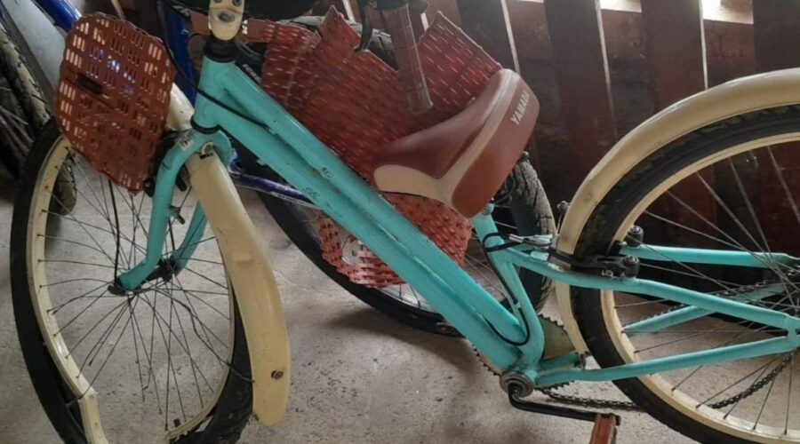 Audiência sobre ciclista atropelada por charrete acontece no litoral de SP