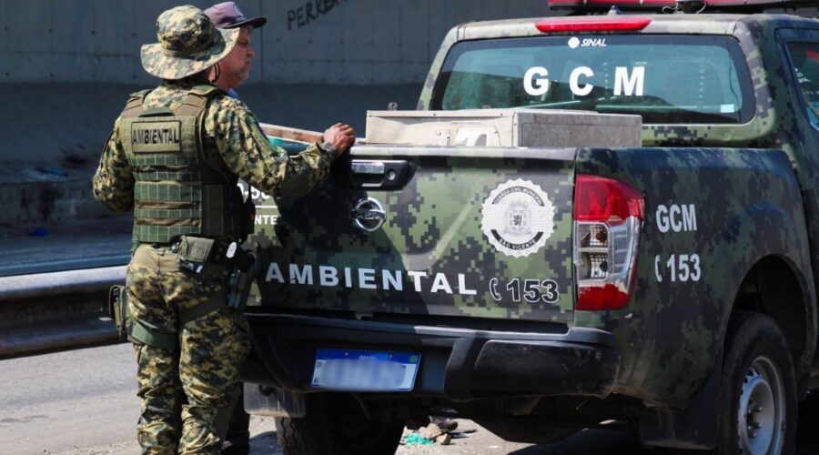 Rottweiler é encontrado morto com sinais de enforcamento no litoral de SP