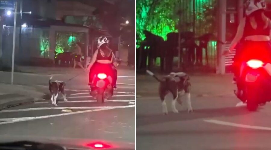 Vídeo mostra casal puxando cão pela coleira enquanto anda de moto e causa polêmica na web
