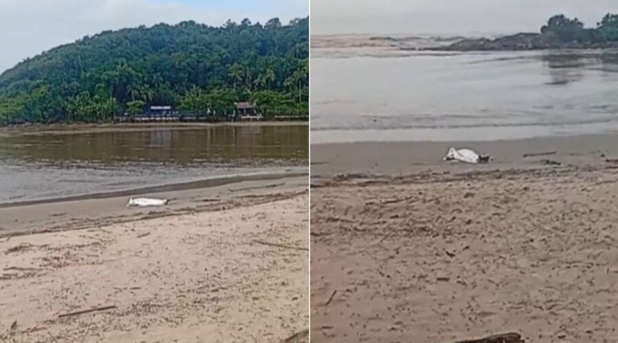 Mulher é encontrada em praia no litoral de SP; polícia investiga morte suspeita