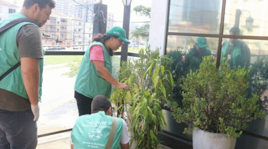Baixada Santista inicia vacinação contra a dengue em dose única para profissionais da saúde