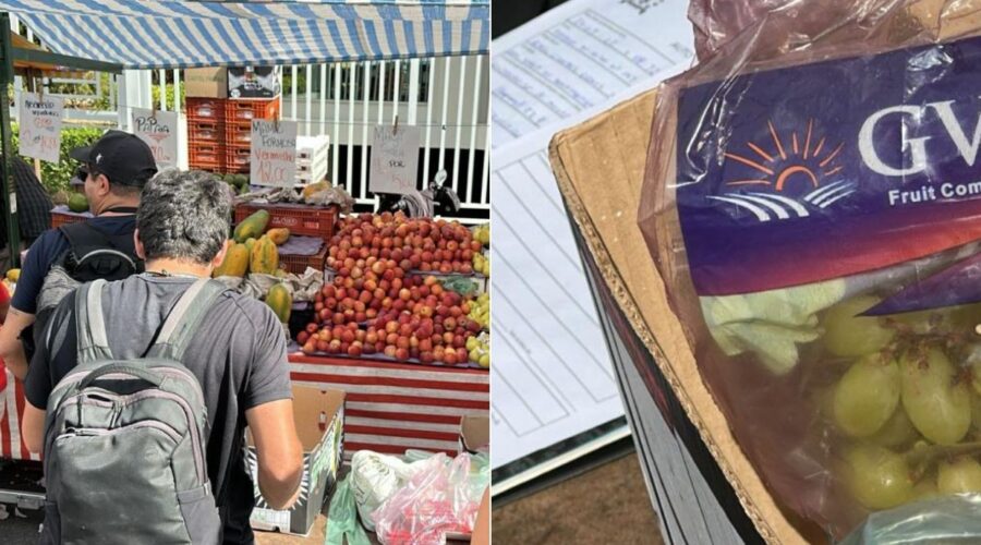 Prefeitura de Santos cassa pontos de feirantes após irregularidades; saiba mais