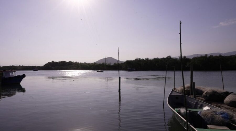 Ilha com 200 habitantes em SP tem peixe azul-marinho 'instagramável' e construiu capela em apenas 2 dias; veja