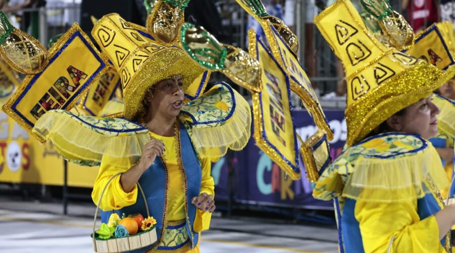 Celebridades, cultura santista, africana e fábulas marcam o 1º dia dos desfiles das escolas em Santos