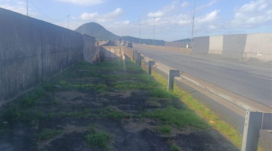 Quem é a mulher encontrada morta na Imigrantes? Polícia atua para identificar vítima com sinais de violência