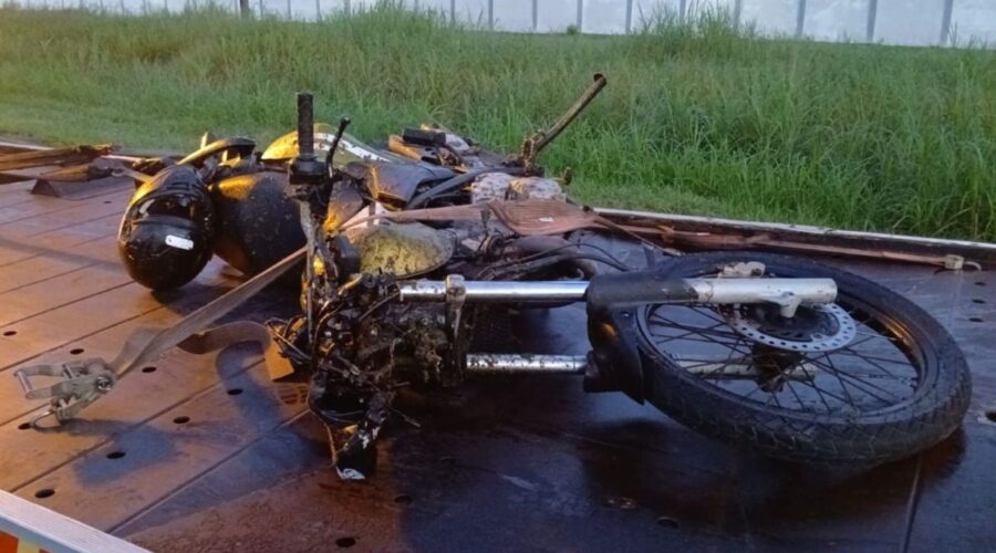 Motociclista morre após atropelar cavalo solto em rodovia de SP; animal também morreu