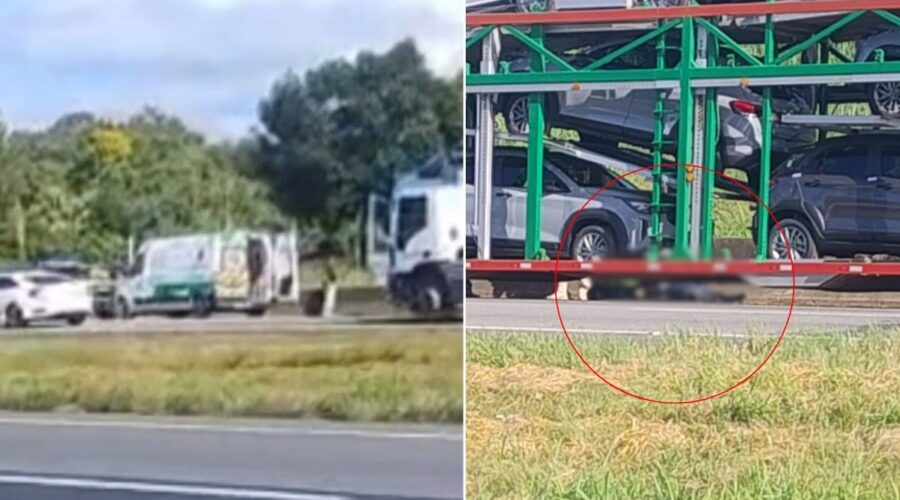 Ciclista morre após ser atropelado por caminhão na Rodovia Régis Bittencourt; VÍDEO