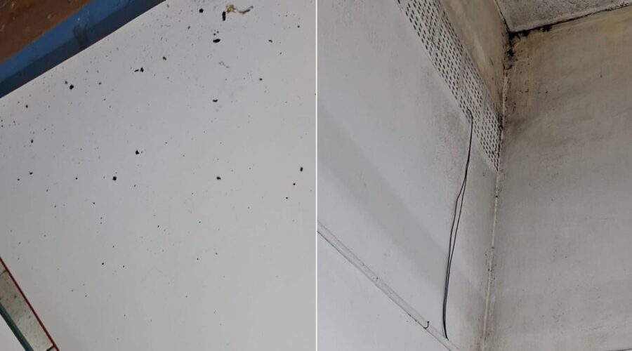 Escola municipal é alvo de denúncias por fezes de morcegos e problemas sanitários no interior de SP