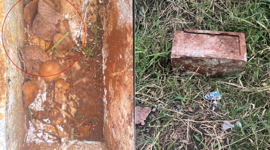 Par de luvas de bebê foi encontrado intacto com ossada humana dentro de caixa em terreno no litoral de SP