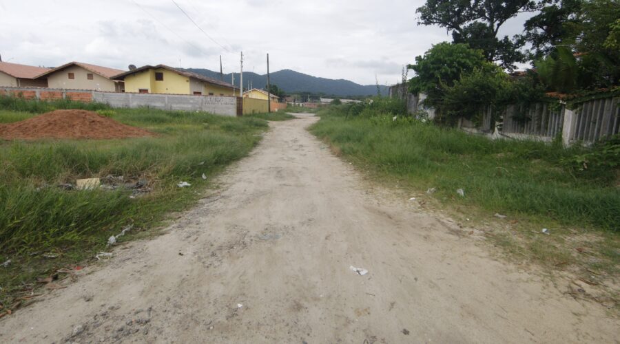 Corpos são encontrados com sinais de violência em região de mangue em SP