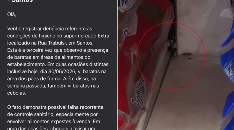 Cliente filma barata em prateleira de pães em mercado no litoral de SP; VÍDEO