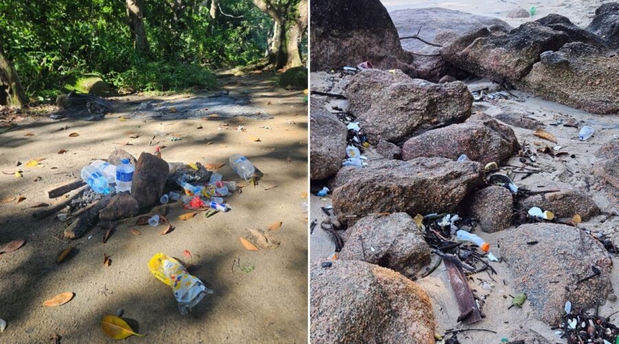 Lixo e acampamentos ilegais ameaçam área de proteção na Praia do Sangava, em Guarujá