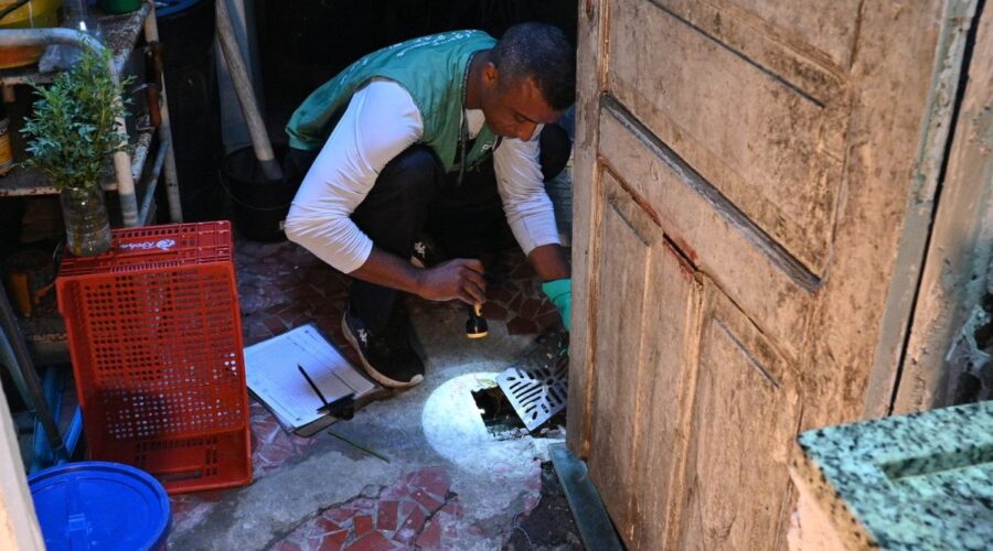 Santos inicia avaliação para medir infestação do Aedes aegypti; entenda