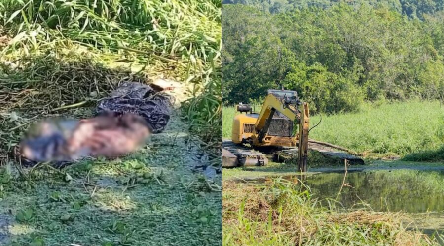 Ossada humana é encontrada dentro de canal no litoral de SP; VÍDEO