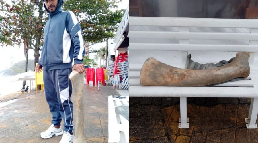 Osso gigante é encontrado enterrado em praia no litoral de SP; VÍDEO
