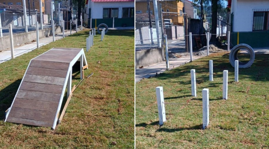 Santos terá espaço pet com piscina, túnel, ponte e percurso recreativo para cães