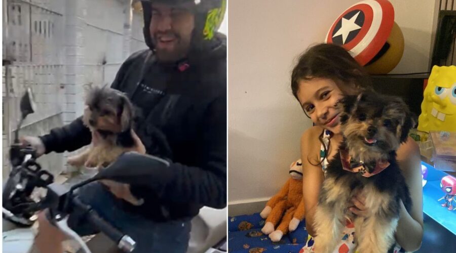 Cão furtado por criança é devolvido à família 'muito assustado', diz tutora; VÍDEO