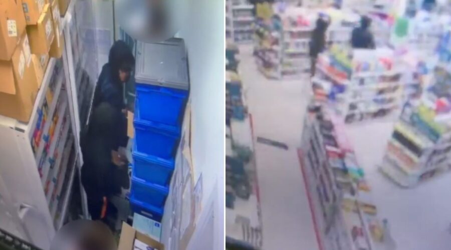 Dupla é apreendida após roubo de R$ 44 mil em caixas de Mounjaro em farmácia no litoral de SP