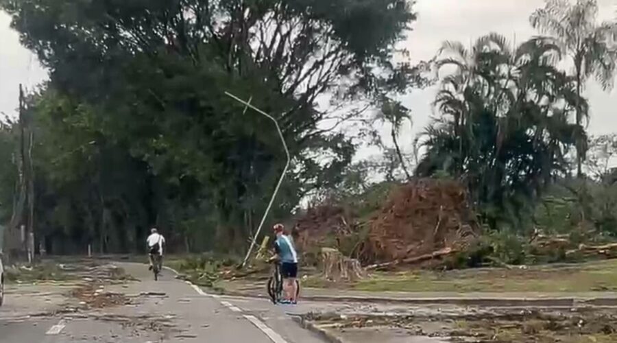 Morte, aulas suspensas, imóveis destelhados e mais de 80 árvores caídas: veja os danos causados por ventania no litoral de SP