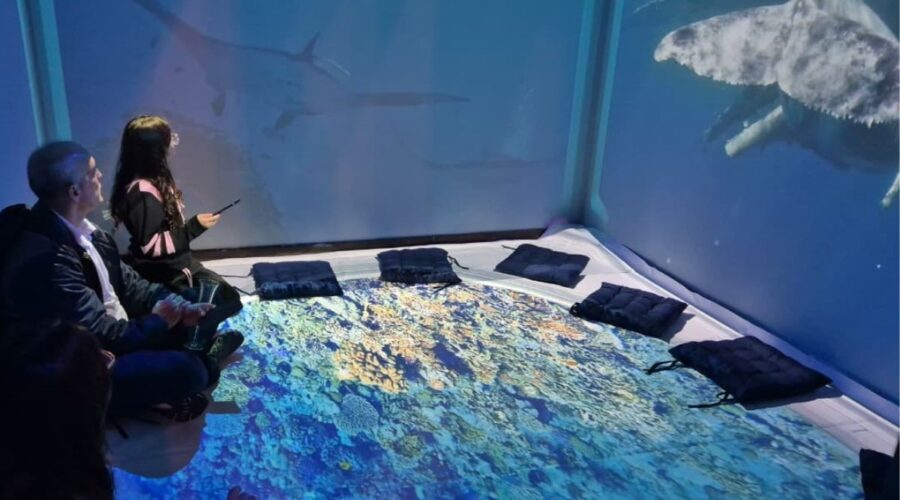 Cinema imersivo simula fundo do mar em novo espaço sobre raias-manta no litoral de SP